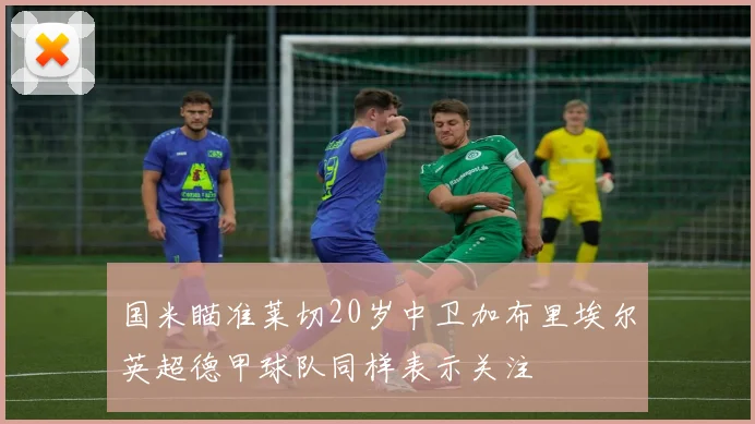 国米瞄准莱切20岁中卫加布里埃尔英超德甲球队同样表示关注