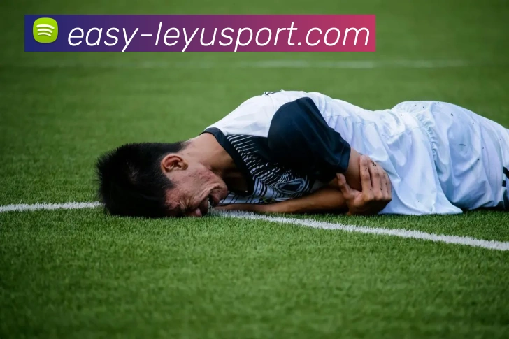 多媒体互动体验