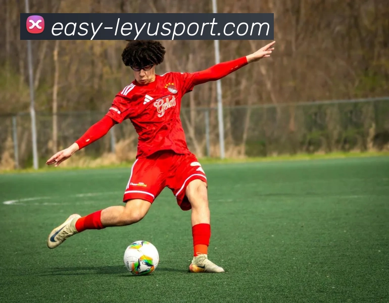 乐鱼体育APP 高清赛事图